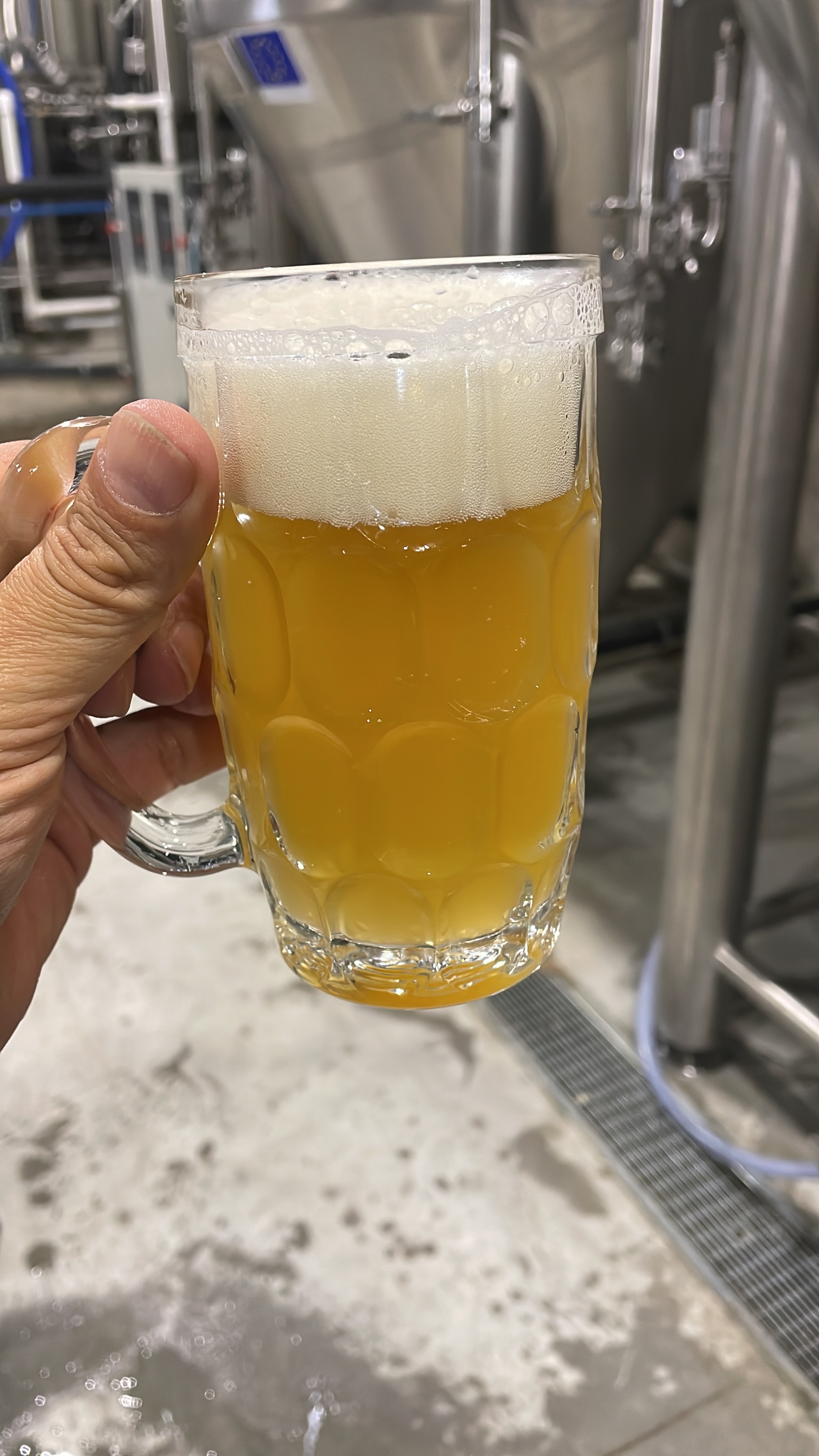 Raising a full pint in front of the fermentation tanks